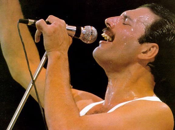Chanteur anglais Freddie Mercury