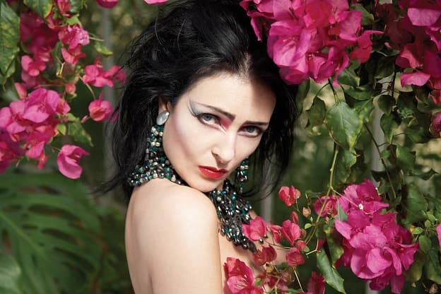 Chanteuse anglaise Siouxsie Sioux